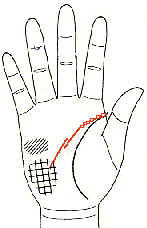 手相人纹线是什么意思_手相条纹怎么看_人的手相图解三条