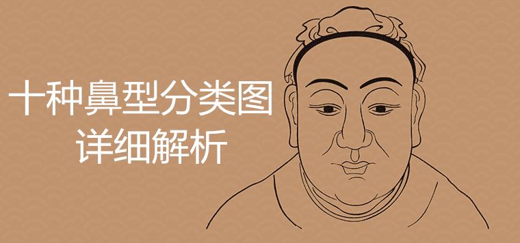 算命面相解析十种鼻型分类，你知道几种？