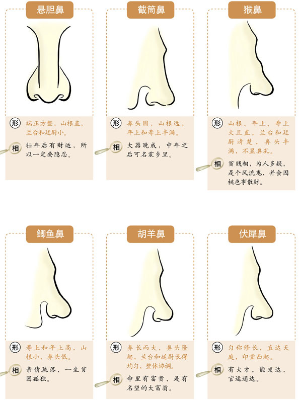 面相学鼻头凹陷图解_鼻头凹陷面相_鼻头有凹痕面相