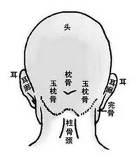 驿马骨面相图解_驿马骨凸起_驿马骨塌陷