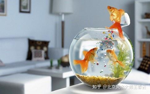 慈世堂：房屋风水化煞工具-财童摆件