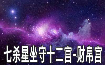 飞星紫微斗数案例_紫微斗数的飞星怎么看_飞星紫微斗数说命pdf