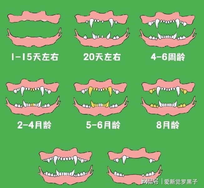 女人有福气的体相_有福的女人身体特征_有福女人的体体相