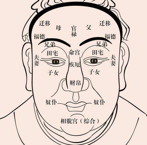 脸有纹面相分析_面相纹脸分析有几种_面相脸部纹路分析