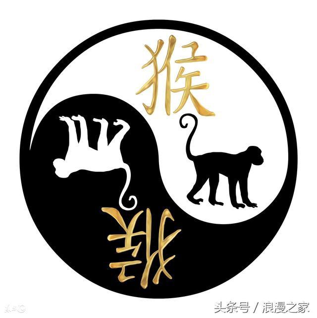 生肖猴的婚姻运_92属猴出生月份婚姻运势_猴运势婚姻出生月份属什么